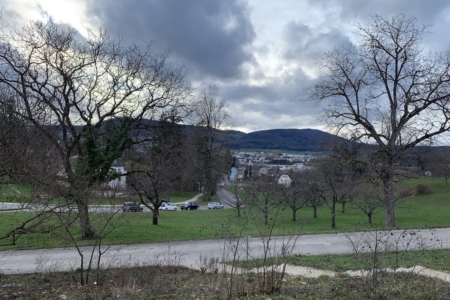 Ausblick16-1-2023 Kopie