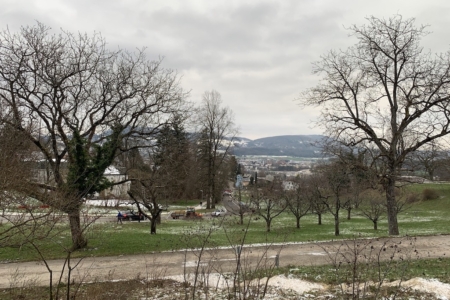 Ausblick23-1-2023 Kopie