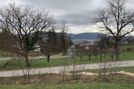 Ausblick30-1-2023 Kopie