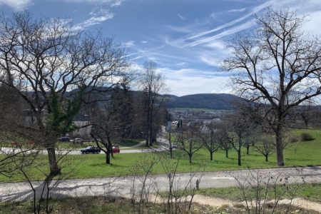 Ausblick13-3-2023 Kopie