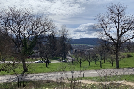 Ausblick20-3-2023 Kopie