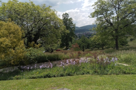 Ausblick22-5-2023 Kopie