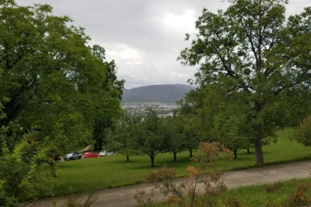 Ausblick7-8-2023 Kopie