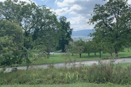 Ausblick19-8-2024 Kopie