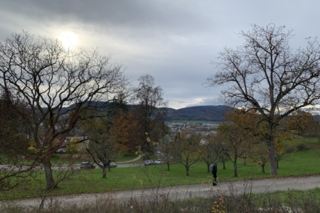 Ausblick 18-11-2024 Kopie