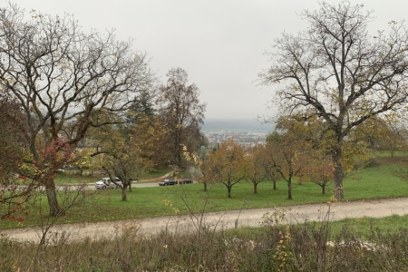 Ausblick11.11.2024 Kopie