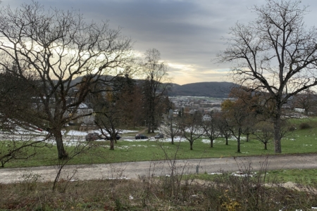 Ausblick25-11-2025 Kopie