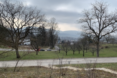 Ausblick17-2-2025 Kopie