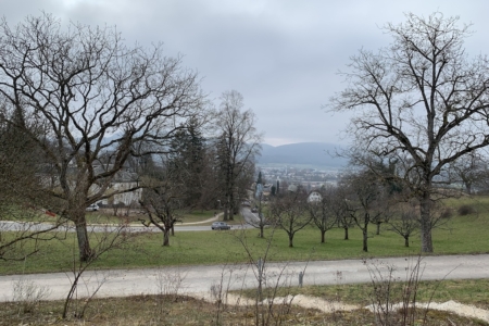 Ausblick3-2-2025 Kopie