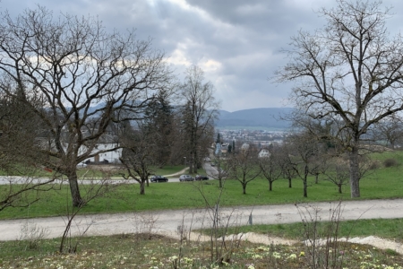 Ausblick17-3-2025 Kopie