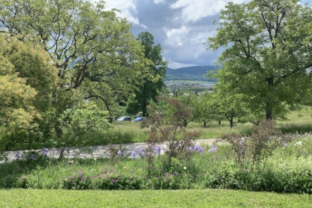 Ausblick 12-5-2025 Kopie