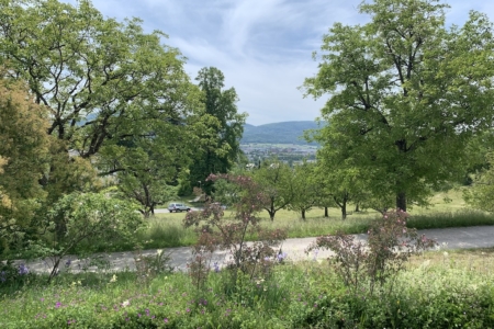 Ausblick19-5-2025 Kopie