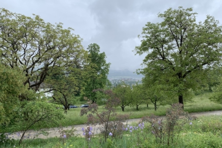 Ausblick5-5-2025 Kopie