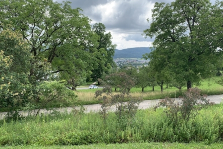 Ausblick16-6-2025 Kopie