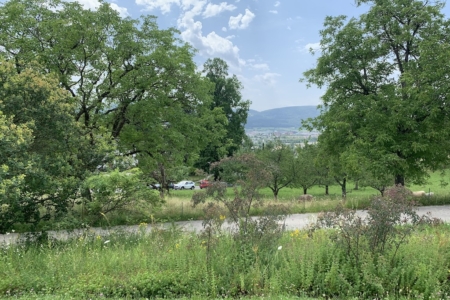 Ausblick23-6-2024 Kopie