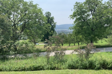 Ausblick9-6-2025 Kopie