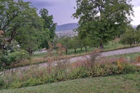 Ausblick 21-7-2025 Kopie