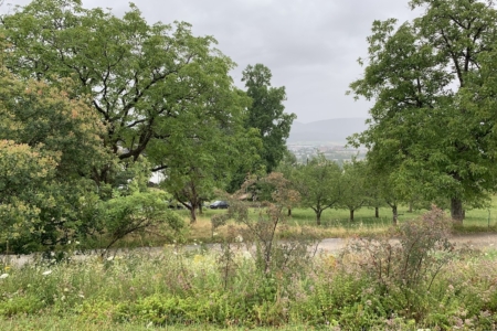 Ausblick 7-7-2025 Kopie