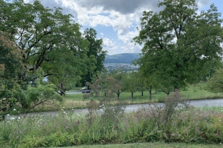 Ausblick14-7-2025 Kopie