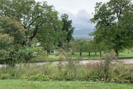 Ausblick28-7-2025 Kopie