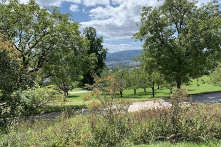 Ausblick4-8-2025 Kopie